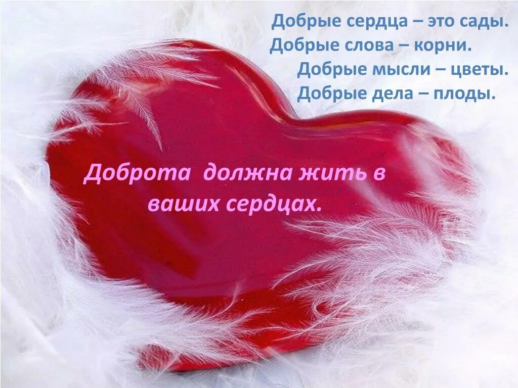 Сердечный жить