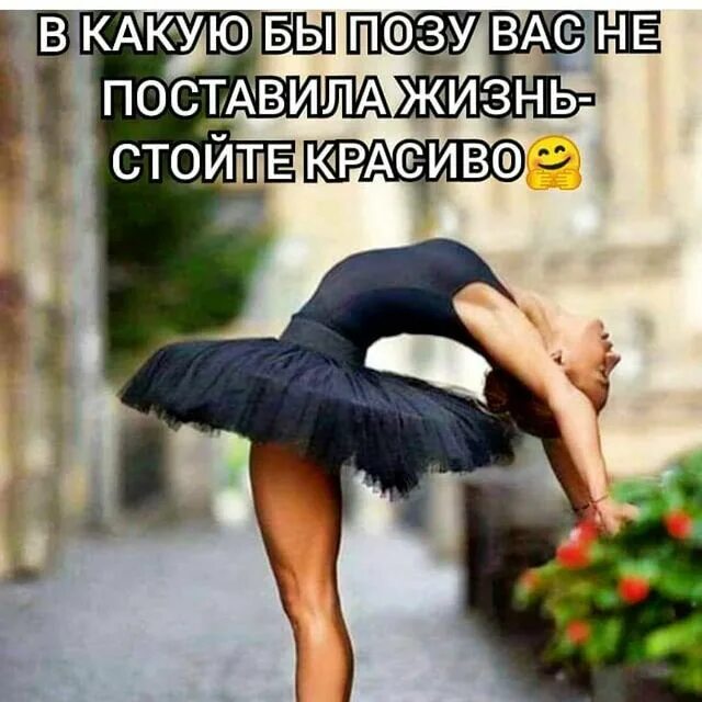 В какую бы позу не поставил. В какую бы позу не поставила жизнь стой красиво. в какую бы позу не поставила жизнь стой красиво фото. в какую бы позу не поставила жизнь стой красиво картинки прикольные. в какую бы позу не поставила жизнь стой красиво картинки с надписями.