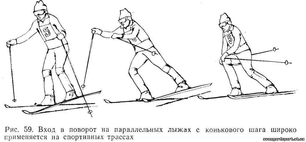 Попеременный двухшажный коньковый ход. Коньковый ход двухшажный ход. Коньковый попеременный ход на лыжах. Одношажный коньковый ход на лыжах.