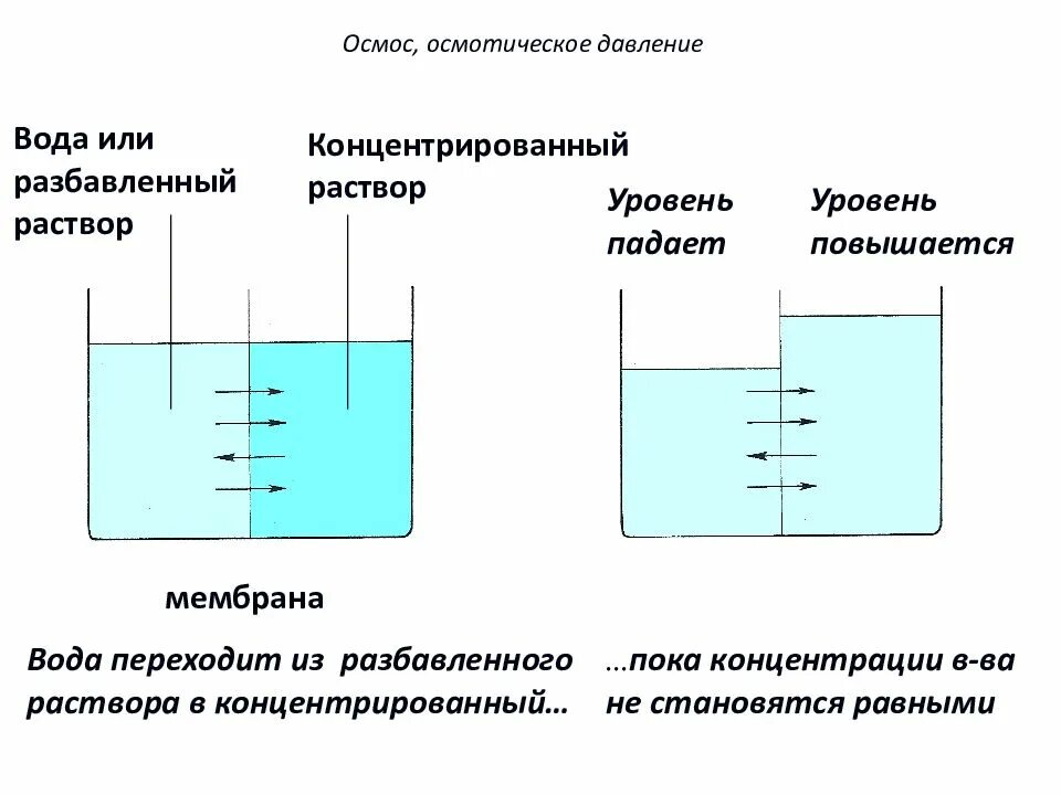 Осмотическое давление разбавленного раствора. Осмос. осмотическое давление. обратный осмос. осмос и осмотическое давление. осмос осмотическое давление растворов. осмос осмотическое давление в дисперсных системах.