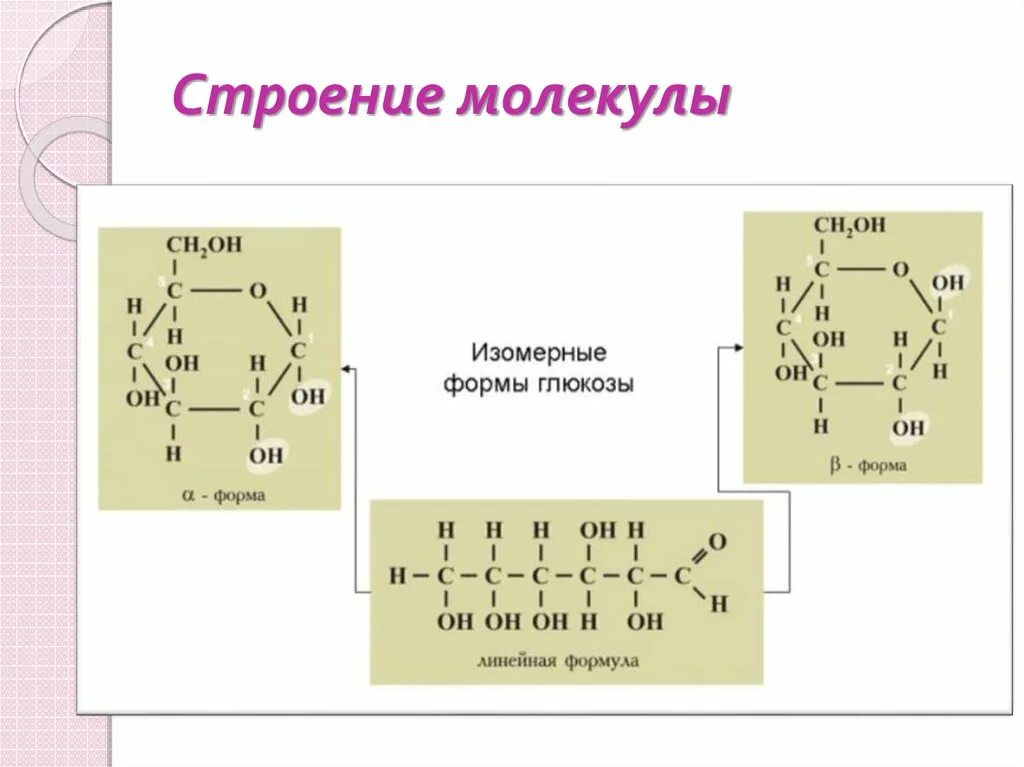 1 линейное строение молекулы. Строение молекулы. структура молекулы. линейное строение молекулы. линейная формула молекулы.