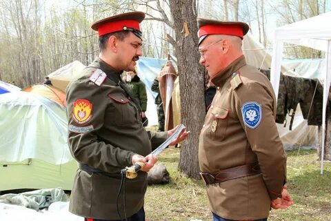 Реестровые казаки это