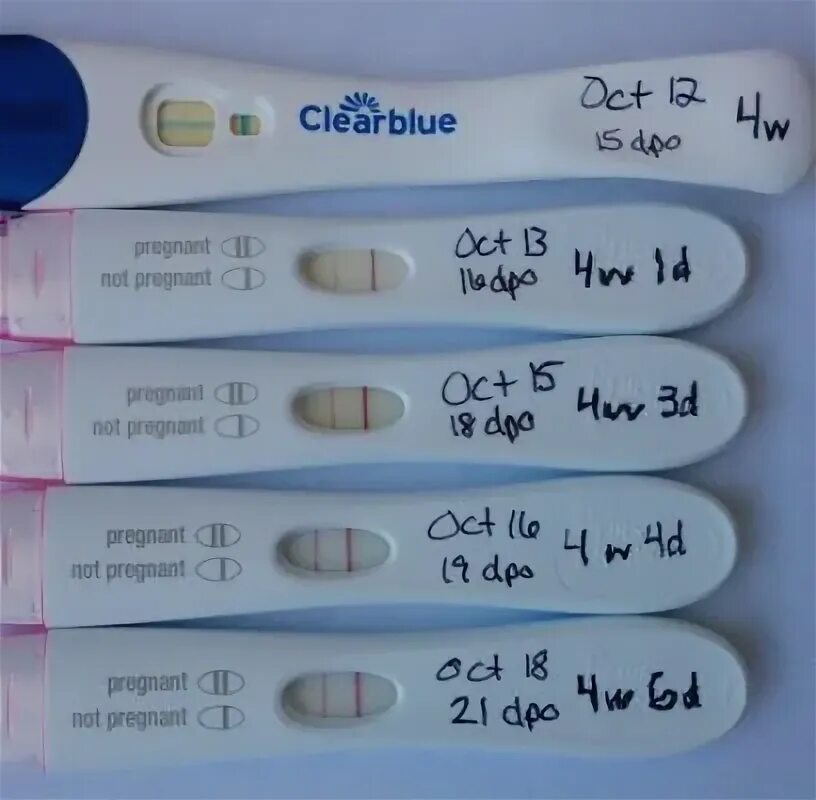 Тест на беременность. Тест до задержки. Тест на беременность до задержки. Тесты которые показывают до задержки.