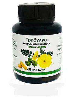 Экстракт якорцев стелющихся