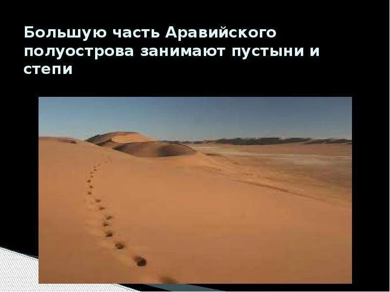 Аравийский полуостров на карте география. Какая природная зона расположена на аравийском полуострове. Природная зона аравийский. Пустыня аравийского полуострова на карте. Природные зоны саудовской аравии.