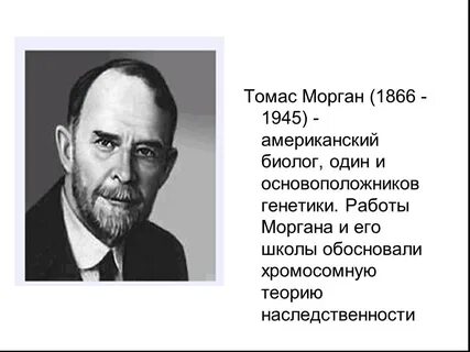Т морган кратко