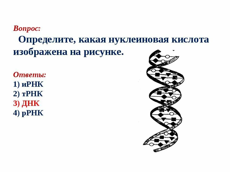 На рисунках изображен фрагмент молекулы. На рисунке изображена формула молекулы. Молекула какого вещества изображена. Днк ирнк строение биология. Строение молекулы днк рисунок.