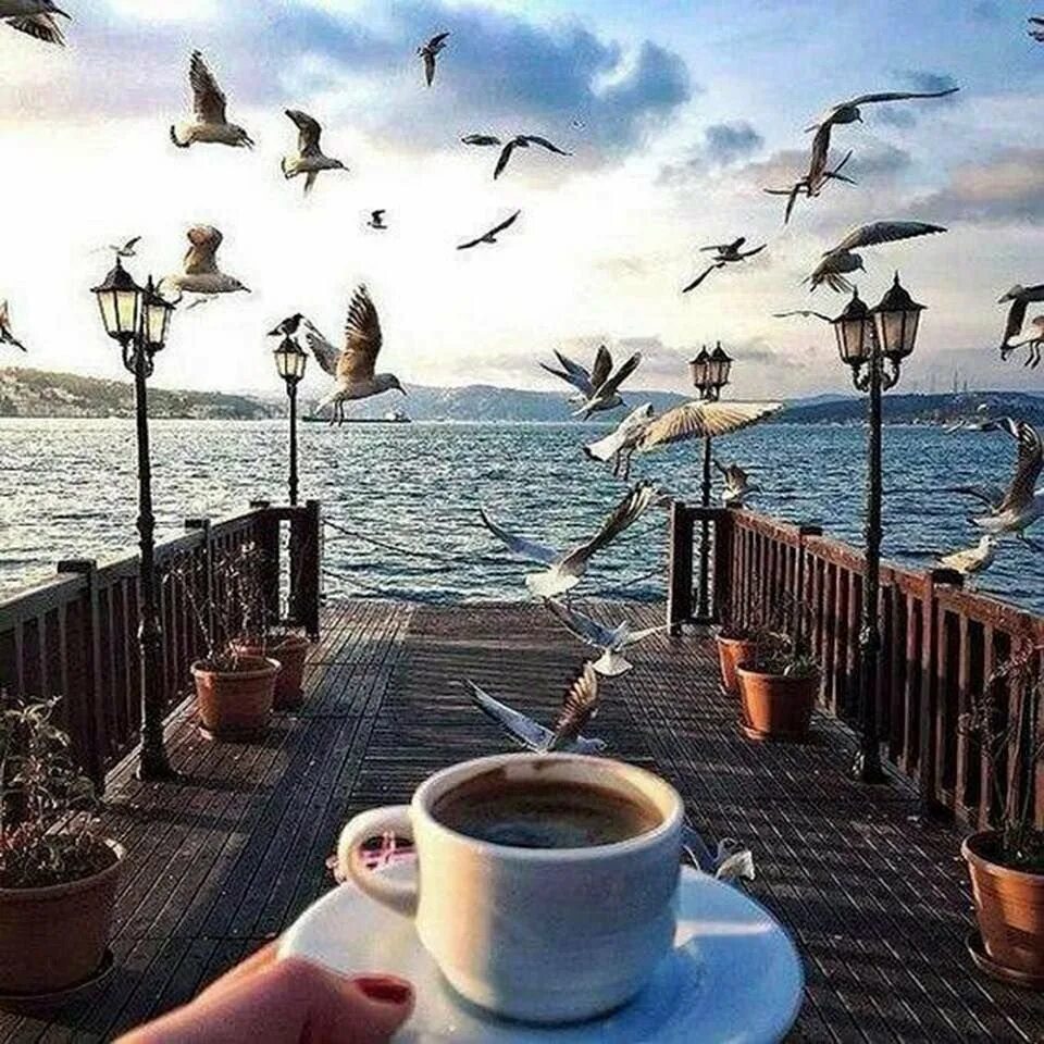 Море поутру. Чашка кофе на море. Кофе и море. Чашка кофе на берегу моря. Кофе на берегу моря.