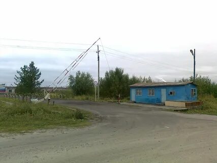 Икам коми