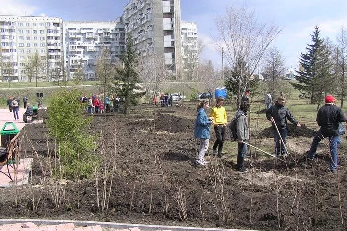 Петровская аллея теннисная империя. Ул. Петровская аллея пляж. Петровская аллея в овчарове. Памятный камень.