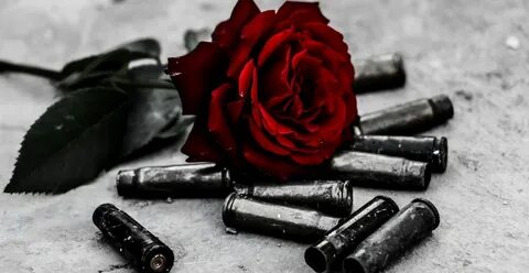 Пистолеты и розы