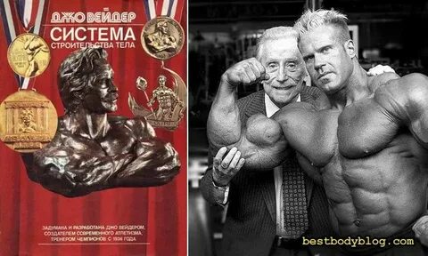 Система джо вейдера