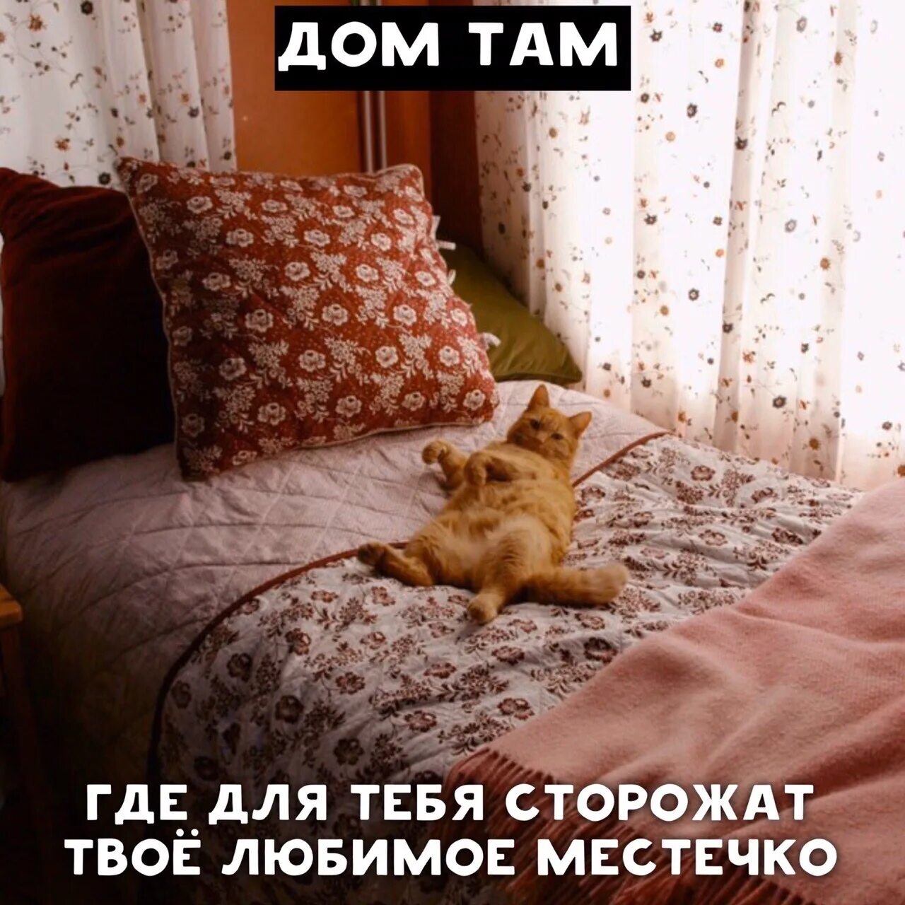 Дом там где. Дом там где картинки. Дом там где я. Дом там где котики.