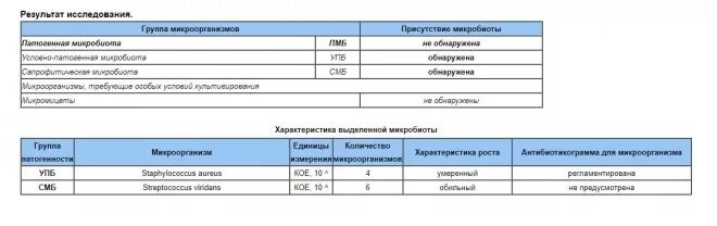 Нормы стафилококка в зеве у взрослых. Нормы стафилококка в зеве у взрослых
