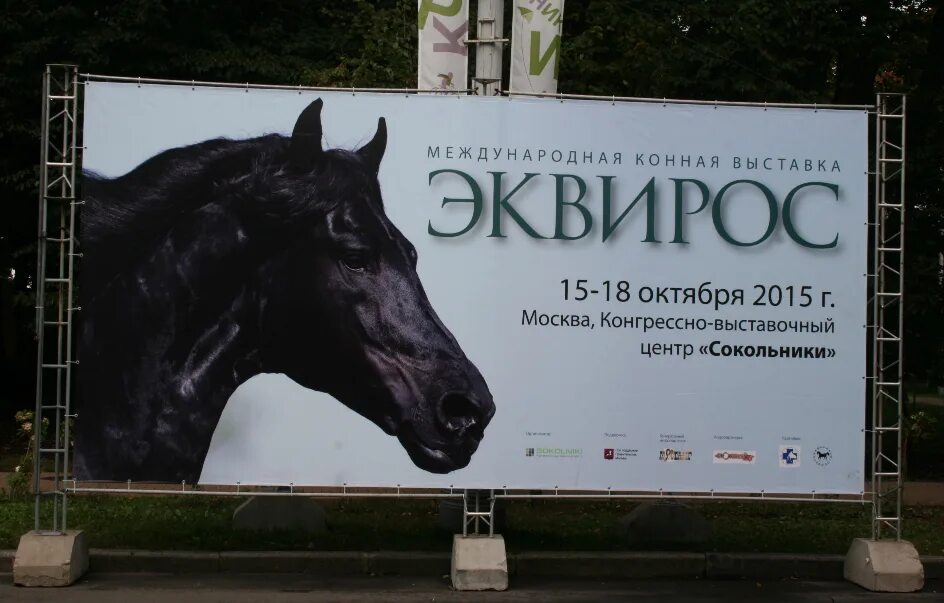 Доберетесь до выставки