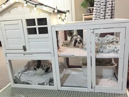 Rabbit hole deco27