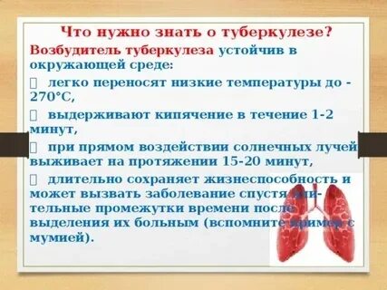 Класс туберкулеза