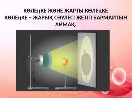 Догги стиліндегі жалаңаш дөңгелек есектердің фотосуреттері