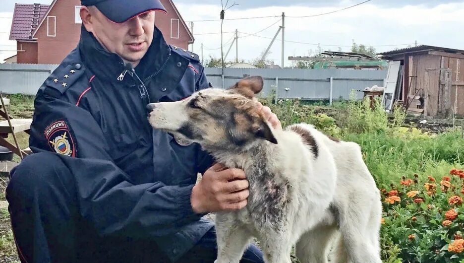 Спасается от полиции