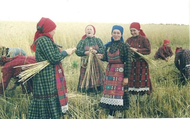 Традиционные занятия коми пермяков. Коми пермяки земледелие. Коми и удмурты. Земледелие удмуртов. Традиционные занятия удмуртов.