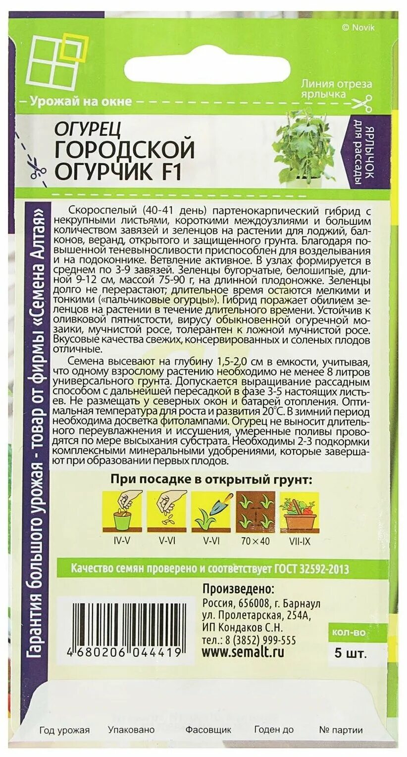 огурец f1 нейлина. огурец f1 хоббит. огурцы 5 штук. городской огурчик f1 отзывы. городской огурчик f1 отзывы.