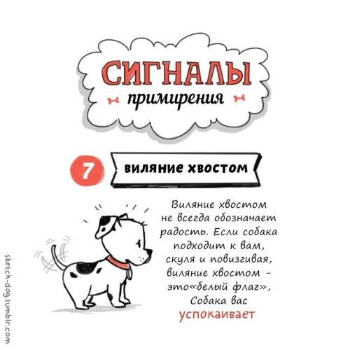 Собачий сигнал. Сигналы примирения у собак. сигналы пртмерения у собак. знаки примирения у собак. три сигнала примирения собаки.