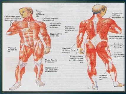 Сексуалды киімдегі қызбен жыныстық қатынас