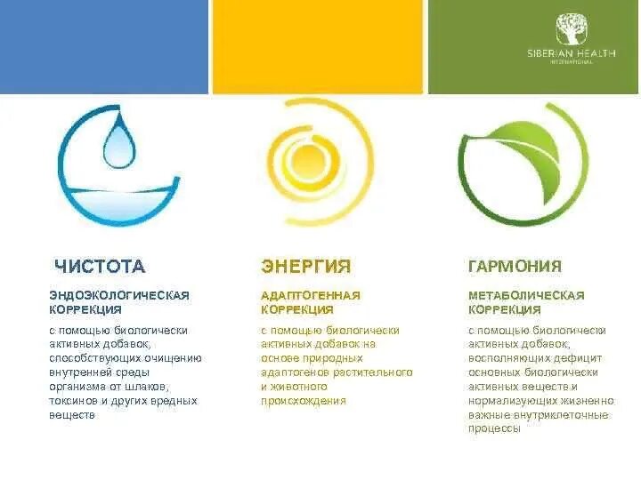 Истоки чистоты ренессанс сибирское здоровье. Приложения чистоты. Листовки сибирское здоровье. Программы здоровья от сибирского здоровья. Приложения чистоты.