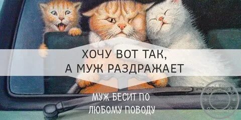 Раздражаю мужа причины