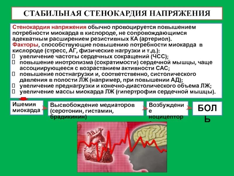 Карта вызова ибс. Стенокардия напряжения. Стабильная стенокардия. ИБС стабильная стенокардия напряжения. Причины стенокардии напряжения.