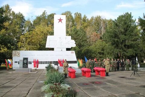 Стрелка темрюкский