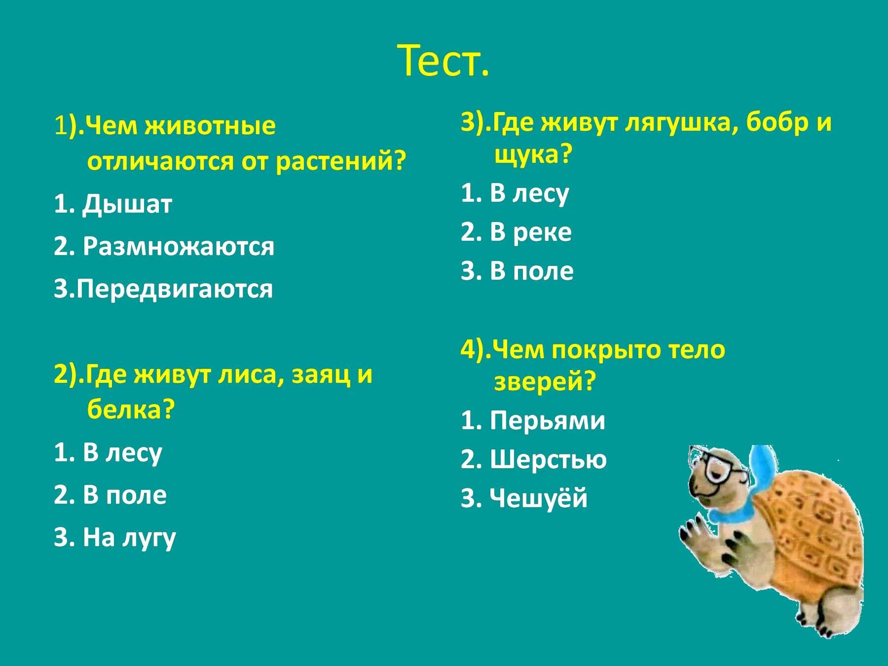 Чем звери отличаются от других. Чем отличаются животные от зверей. Животные отличаются от растений тем что. В отличие от растений животные тест. Чем отличается животное от зверя.