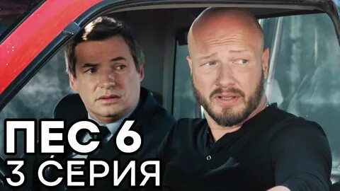Пес 6 9