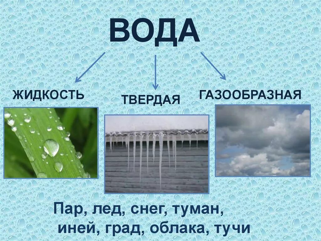 Роса состояние воды. Слаид вода чудо природы. Жидкая вода твёрдая вода газообразная вода. Вода в виде дождя. Вода чудо природы проект.