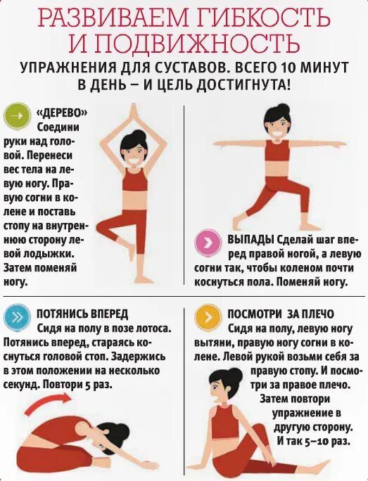 Занятия развивающие гибкость. Упражнение для гипеости. упражнения для развития гибкости. комплекс упражнений на гибкость. упражнение на гибкость с описанием.