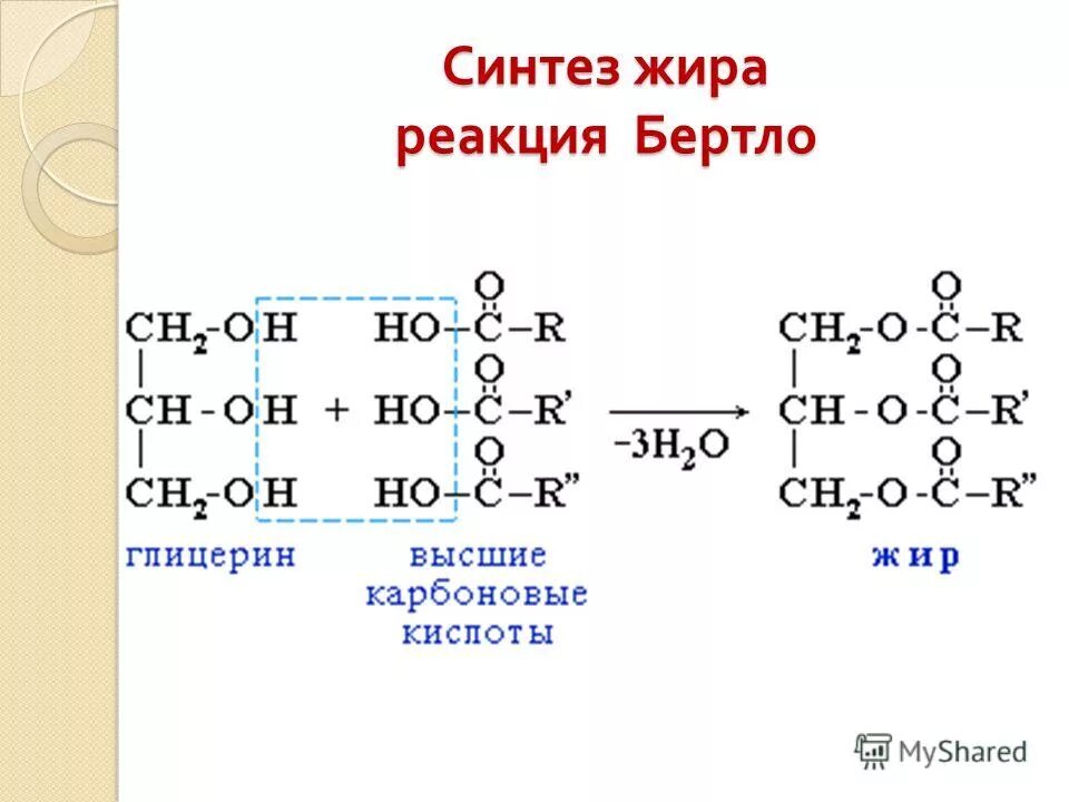 Реакция синтеза жиров