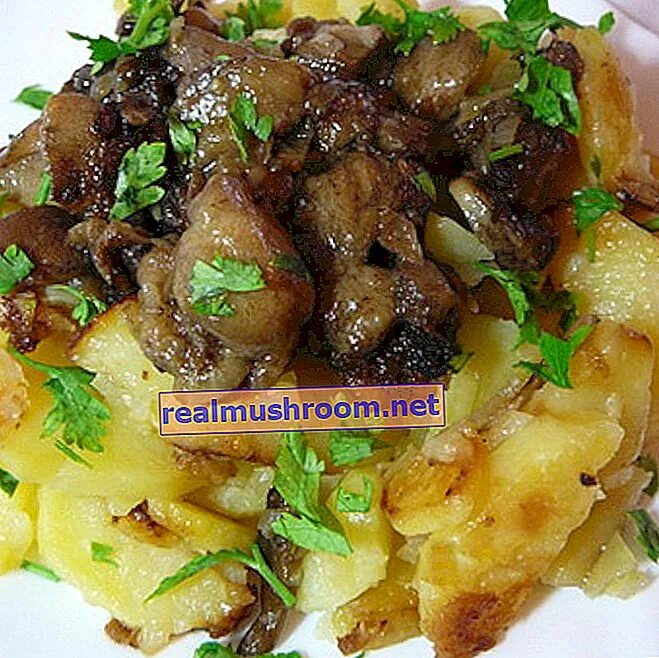 Рецепты картошки с грибами маслятами. Картошка с грибами. Маслята жареные с картошкой. Жареные маслята на сковороде. Картофель жареный с грибами.