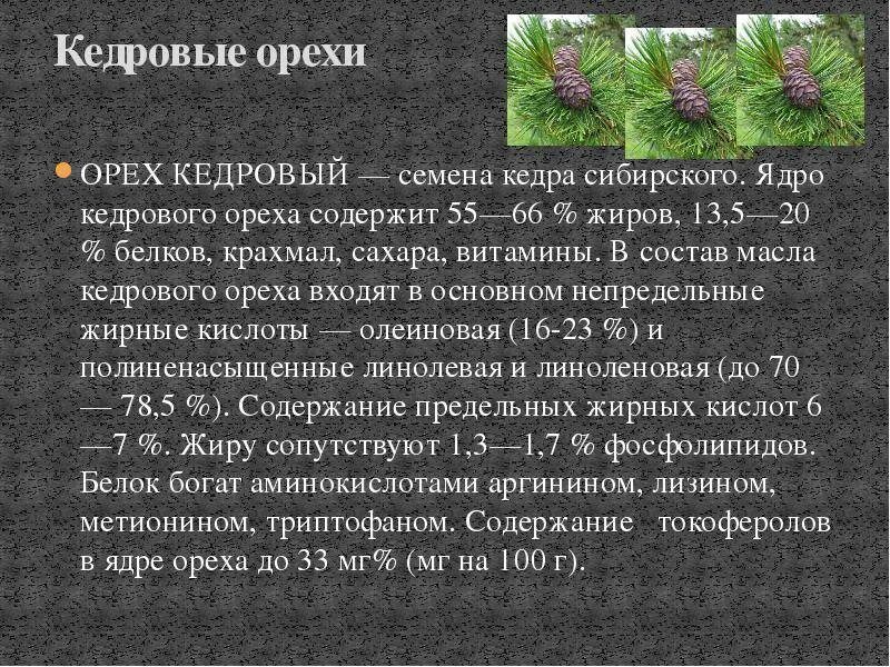 Польза и вред кедровых. Чем полезен Кедровый орех. Кедровые орехи польза. Чем полезны кедровые орешки. Чем полезен Кедровый орех для организма.