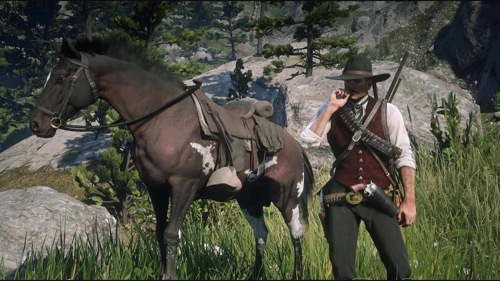 Rdr r. Red dead redemption 2. rdr 2 сумки артура. red dead redemption 2 лошади.