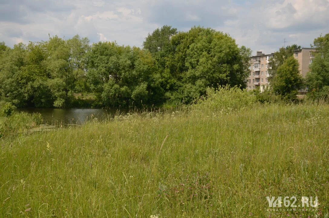 Город рязань соколовка. Город рязань поселок соколовка. Соколовка фото. Город рязань поселок соколовка. Соколовка рязань.