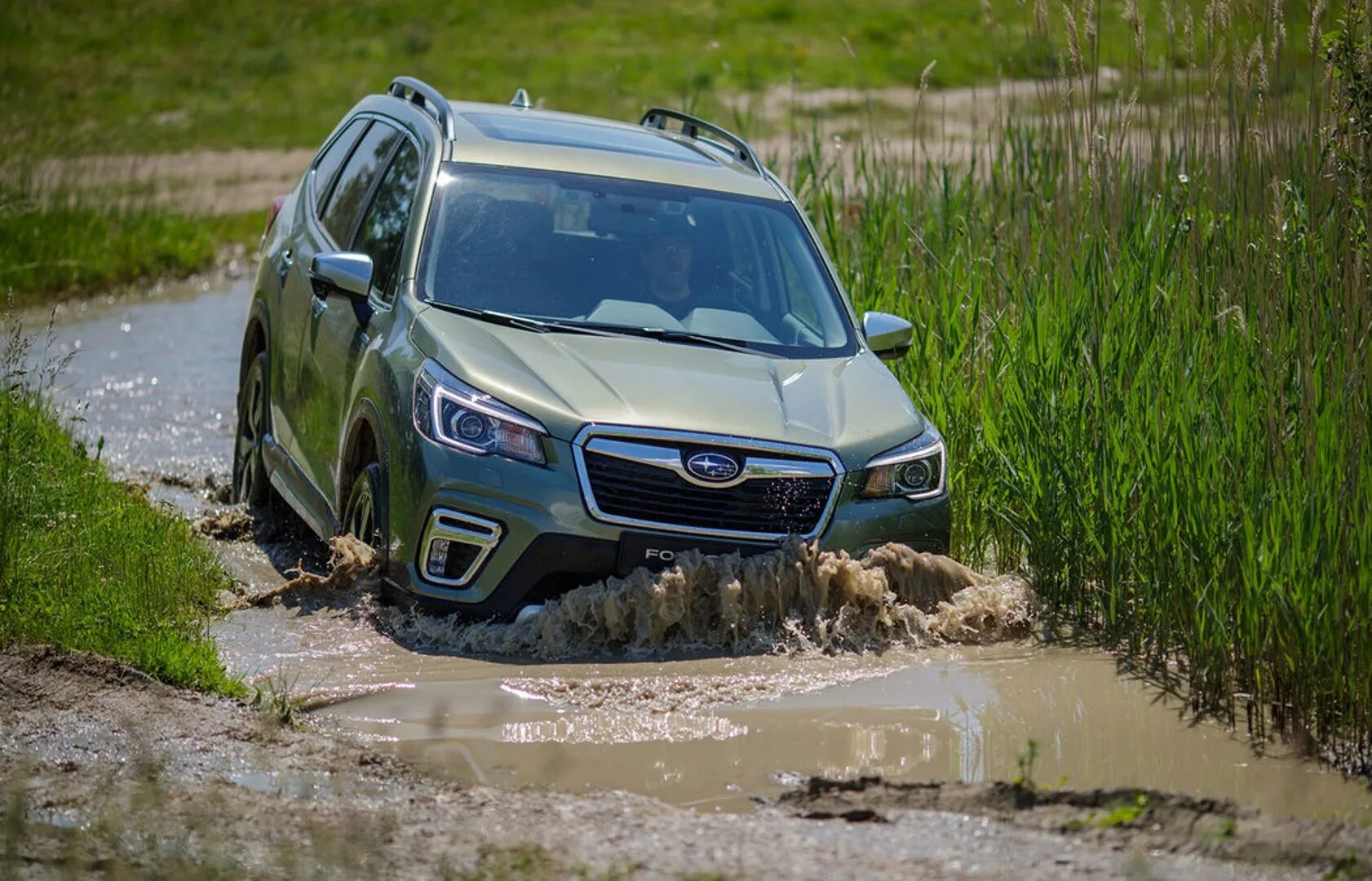 Субару Форестер 2020. Subaru Forester 2020 зеленый. Subaru Forester 2020 Black. Subaru Forester Hybrid 2019. Субару форестер гибрид