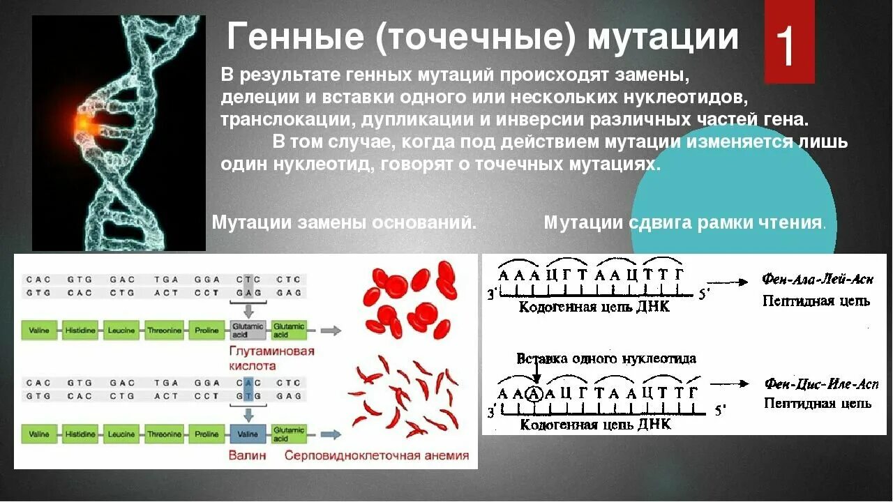 Изменения происходящие в генах это. Генные точечные мутации. Мутации генома.