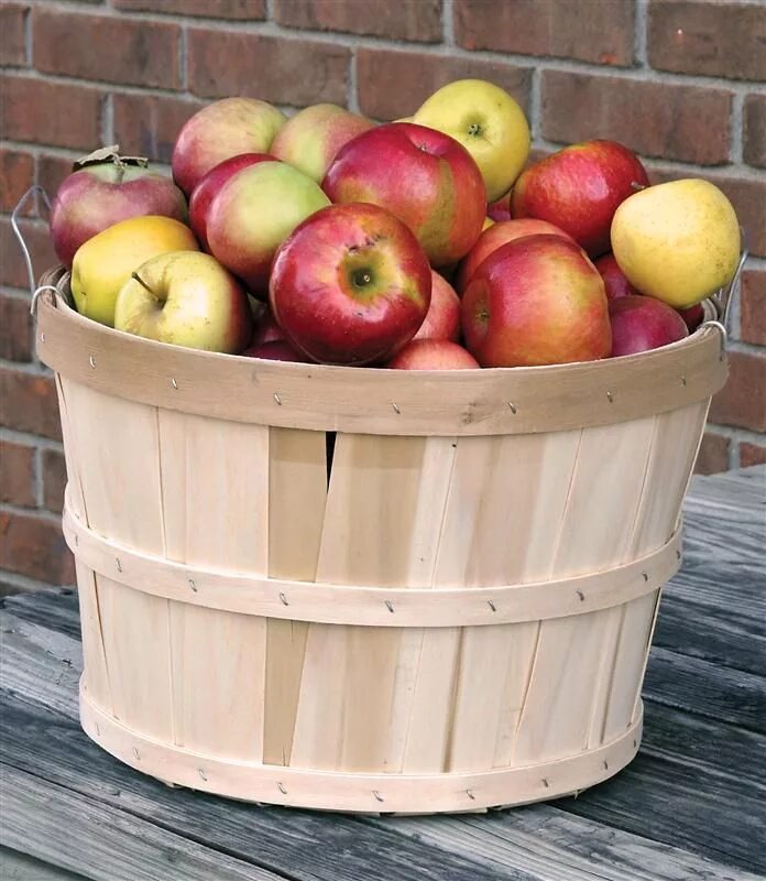 Бушель яблок. Яблоки ред бушель. A bushel of apples. Яблоко гренками бушель. Бушель яблок.