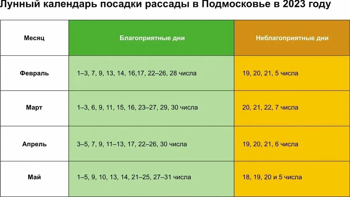 Посадка семян 2025 год. Календарь посадки рассады. график посадки рассады в 2025 году.