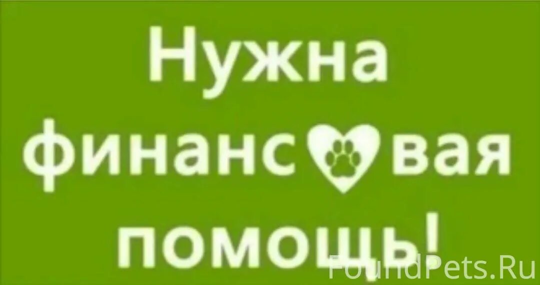 Деньги на операцию срочно. Нужна финансовая помощь. Нужна финансовая помощь картинки. Срочно нужна финансовая помощь. Срочно нужна фин помощь.