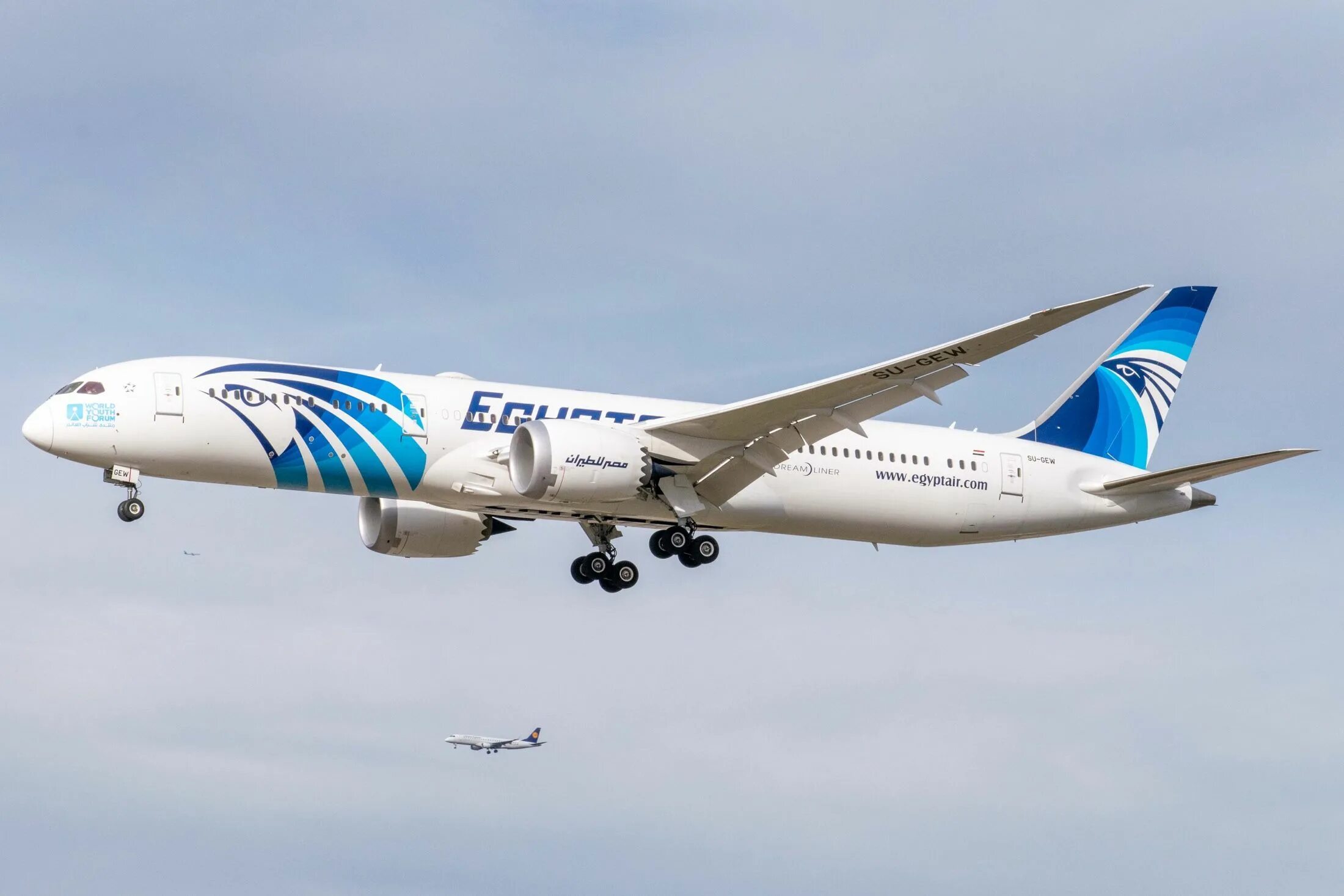 Egyptair отзывы. A320 Neo Egypt Air. Boeing 787-9 EGYPTAIR. EGYPTAIR 787. Boeing 320 Neo.