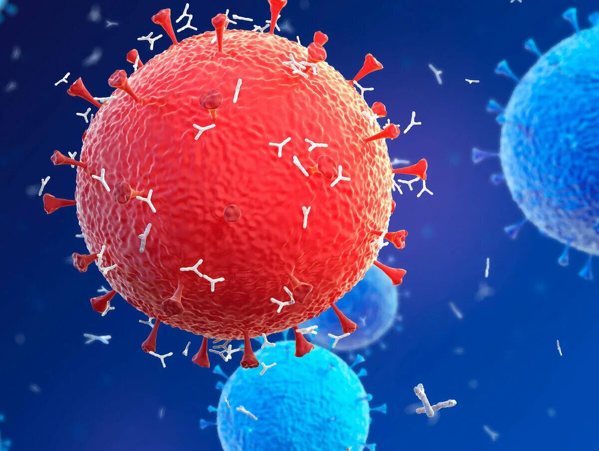 Атакующие клетки. Антиген антитело. Антиген фото. Клетка вируса.