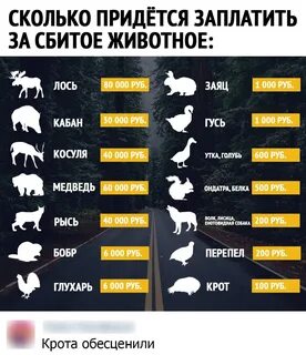 Штраф за отстрел