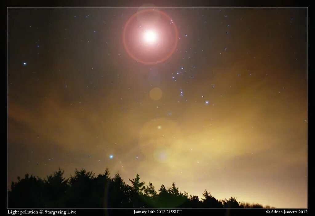 Какую звезду видно днем. Взрыв сверхновой Бетельгейзе с земли. Бетельгейзе звезда. Взрыв звезды Бетельгейзе. Сверхновая звезда Бетельгейзе.