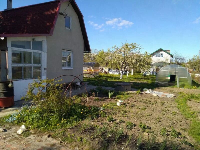 Снт янтарь. Калиновские выселки. Снт янтарь калининград на карте фотографии. Снт янтарь участок. Интернет в снт янтарь 2 калининград.